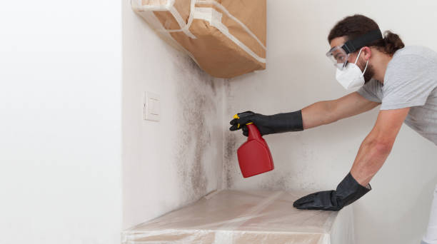 Professional Crawl Space Mold Remediation technician working in Scotch Plains, NJ