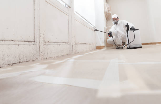 24/7 Emergency Crawl Space Mold Remediation experts in Scotch Plains, NJ