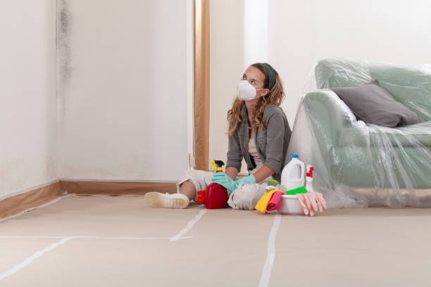 Reliable Crawl Space Mold Remediation contractor in Scotch Plains, NJ by Car Mold Remediation