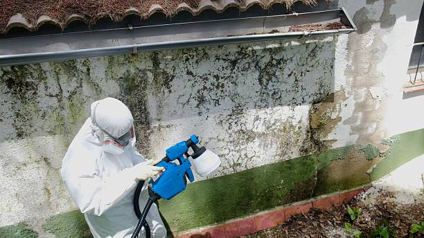 Top rated local Crawl Space Mold Remediation specialists in Scotch Plains, NJ